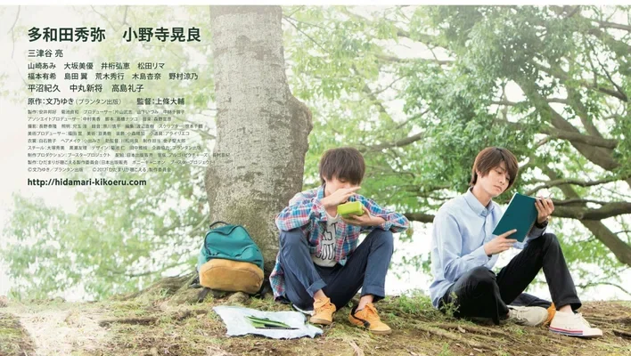 Я слышу солнечные пятна (2017)